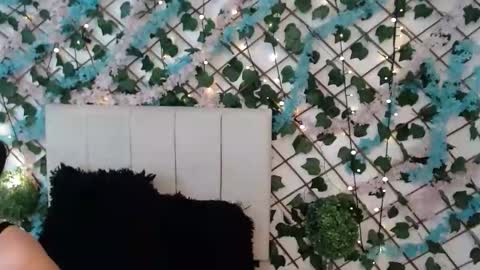 SCARLET online show from 01.17.26