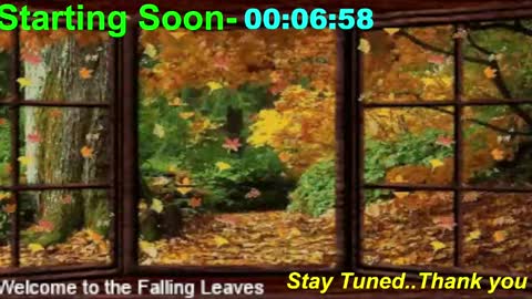 ...PHIL... online show from 11.10.25