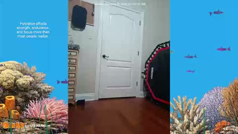 ScrubbyLuv online show from 02.26.26