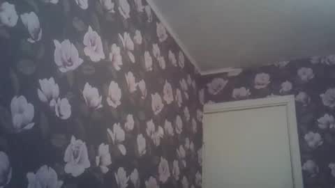 scylla5 online show from 04.03.26