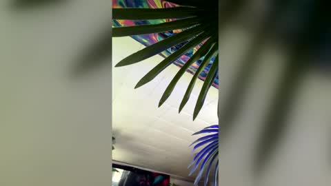 Snapshot of seanplushouse chatting on 02.28.26 seanplushouse online show from 02.28.26