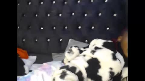 sebatrishaa online show from 10.23.25