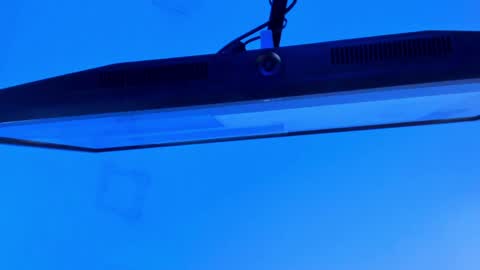 Snapshot of sebax_00 chatting on 04.13.26 Sebastian online show from 04.13.26