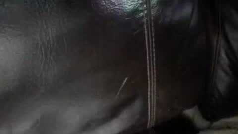 Sunny online show from 01.13.26