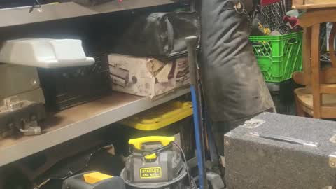 Snapshot of seeker404 chatting on 01.01.25 Seeker online show from 01.01.25