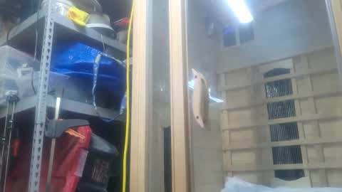 Snapshot of seeker404 chatting on 10.26.25 Seeker online show from 10.26.25