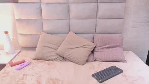 seikibee online show from 02.19.26