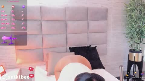 seikibee online show from 02.21.26