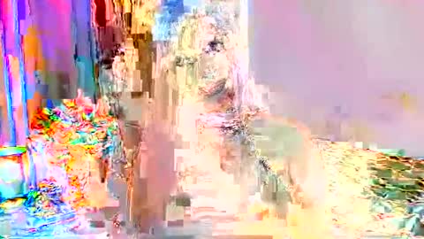 Selena online show from 09.24.25