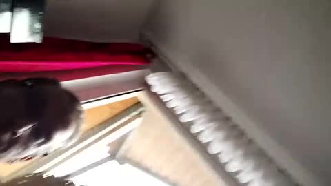 senda82 online show from 01.01.25