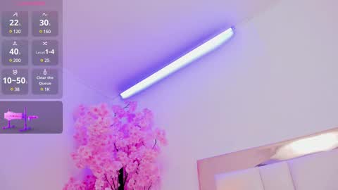 Sennia online show from 02.15.25