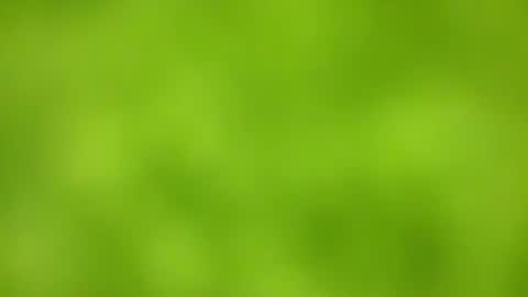 sens3439 online show from 11.24.25