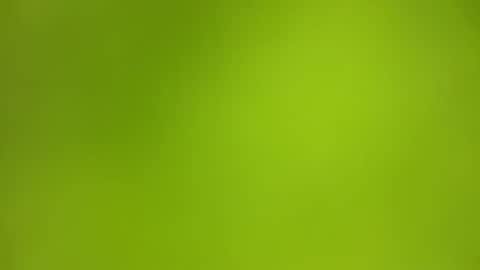 sens3439 online show from 12.02.25