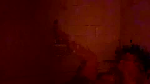 Tara online show from 12.25.24