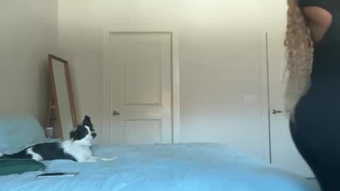 Snapshot of serenitybee chatting on 11.17.25 Serenity Bee online show from 11.17.25