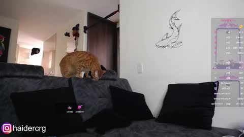 setth online show from 02.07.26