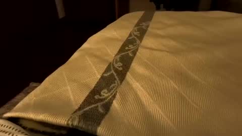 sevenorder online show from 01.21.25