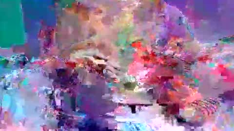 sexxycotton online show from 04.10.26