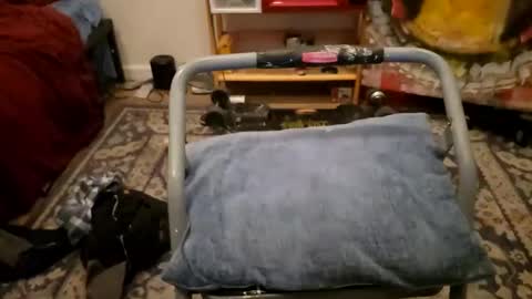 Snapshot of sexy_cayden chatting on 01.23.25 Cayden online show from 01.23.25