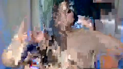 Snapshot of sexy_devotion chatting on 02.17.25 ALFREA online show from 02.17.25