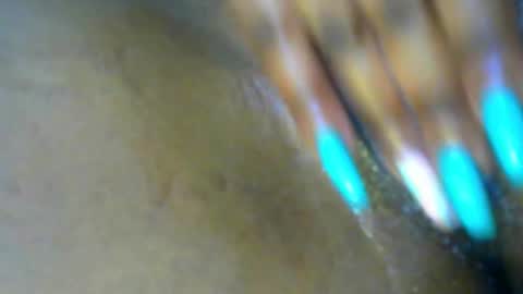 Lisa online show from 11.19.25