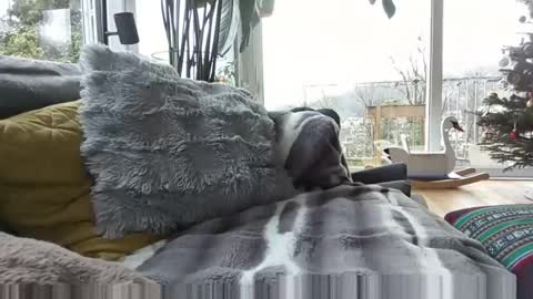 sexylover81ch online show from 12.21.25