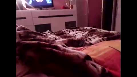 sexypairjuly online show from 11.04.25