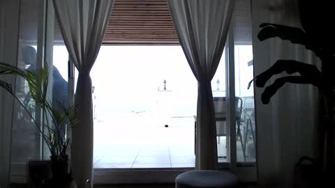 Arda online show from 04.11.26