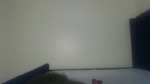 Shadow online show from 11.29.25