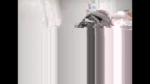 shagnasty95 online show from 04.09.26