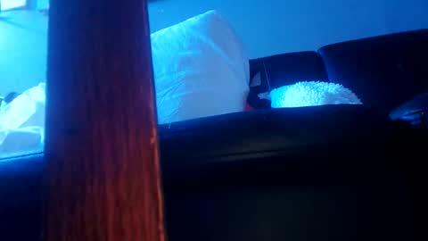 shagz2much online show from 01.07.25