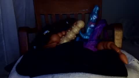 shakespeareisahomie online show from 02.19.26