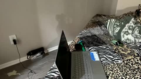 Snapshot of shamanwoman chatting on 12.02.24 Shaman Woman online show from 12.02.24