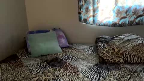 Snapshot of shamanwoman chatting on 12.06.24 Shaman Woman online show from 12.06.24