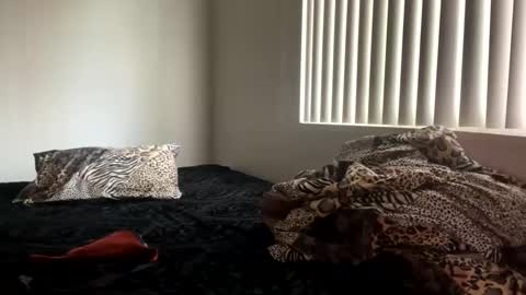 Snapshot of shamanwoman chatting on 12.25.24 Shaman Woman online show from 12.25.24