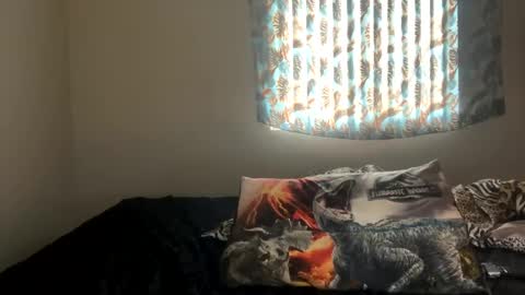 Snapshot of shamanwoman chatting on 12.27.24 Shaman Woman online show from 12.27.24