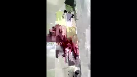 Snapshot of shanelle7 chatting on 01.17.26 shanelle7 online show from 01.17.26