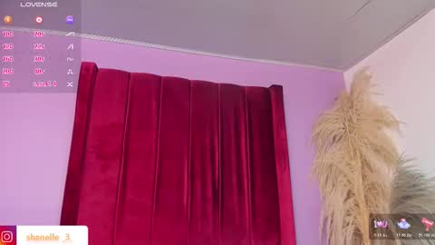 Snapshot of shanelle7 chatting on 02.02.26 shanelle7 online show from 02.02.26
