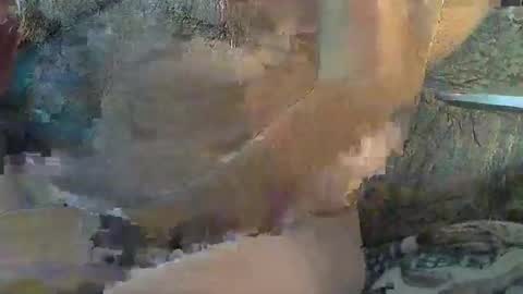 Sharkey644 online show from 11.11.25