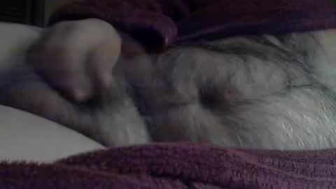 Sharkey644 online show from 03.03.26