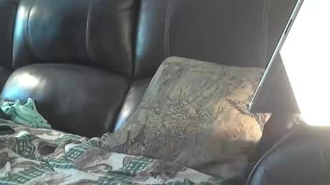 Sharkey644 online show from 03.26.26