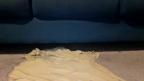 shazbot84 online show from 04.10.26