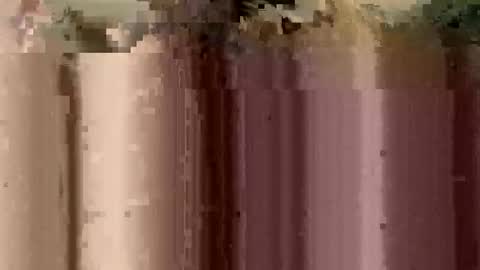 sheablo33 online show from 12.17.25