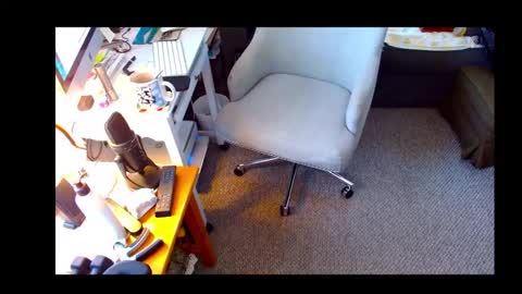 Snapshot of shelaacd chatting on 10.16.25 Shelaacd online show from 10.16.25