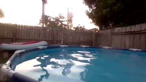 Red online show from 09.19.25