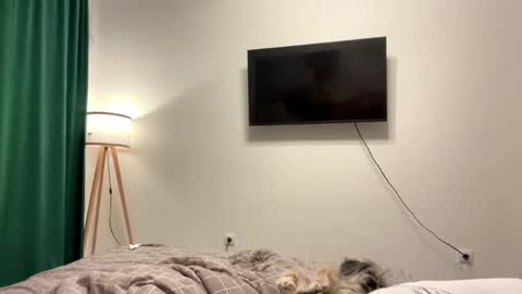 Eve online show from 04.02.26