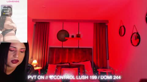 Snapshot of sheyla_hills_ chatting on 01.30.25 Sheyla online show from 01.30.25