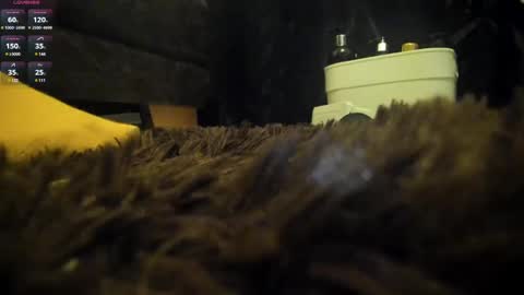 Shinigamidoll see you soon   online show from 03.07.25