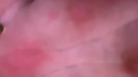 shurd7 online show from 04.22.26