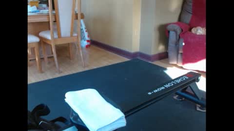 shy guy spc online show from 02.05.26